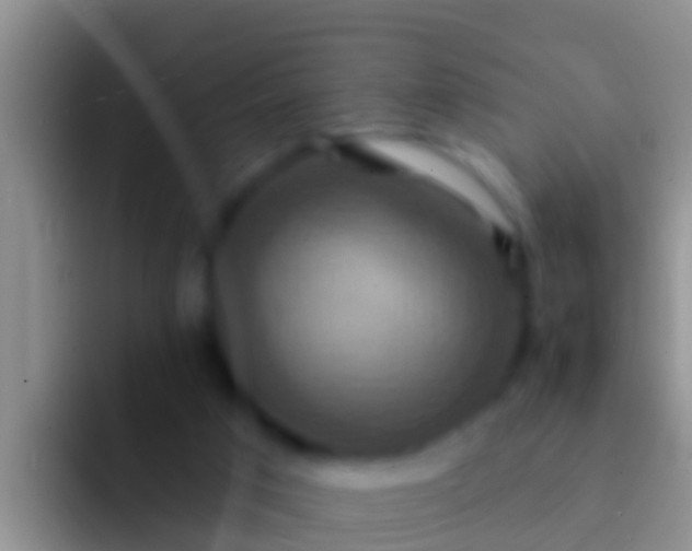 X0000092110017200709262207