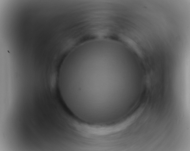 X0000092110018200709262207