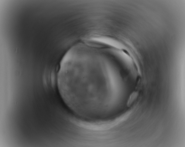 X0000092110019200709262207