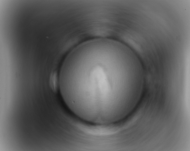 X0000092110020200709262207