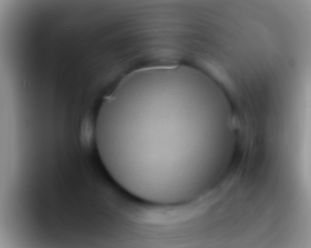 X0000092110021200709262207