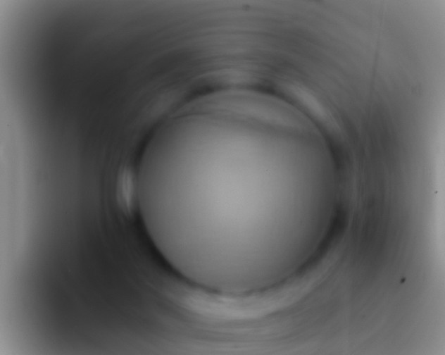 X0000092110022200709262207