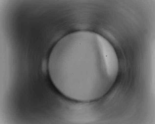 X0000092110024200709262207