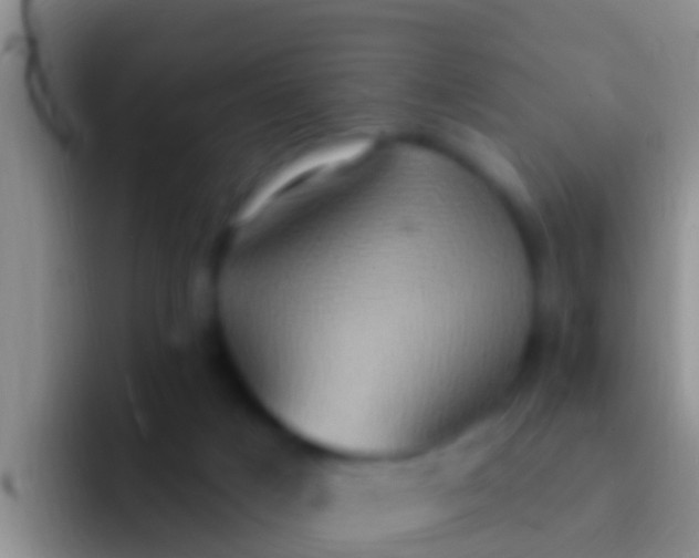 X0000092110025200709262207