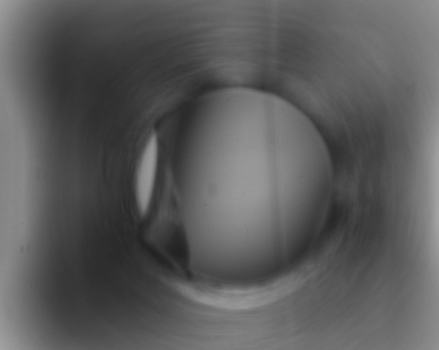 X0000092110027200709262207