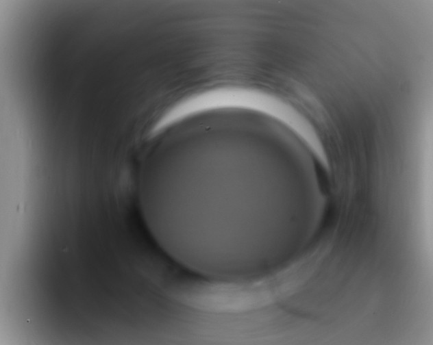 X0000092110029200709262207