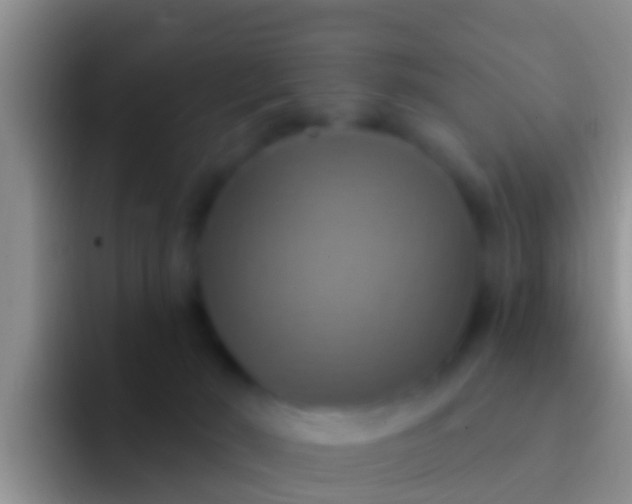 X0000092110030200709262207