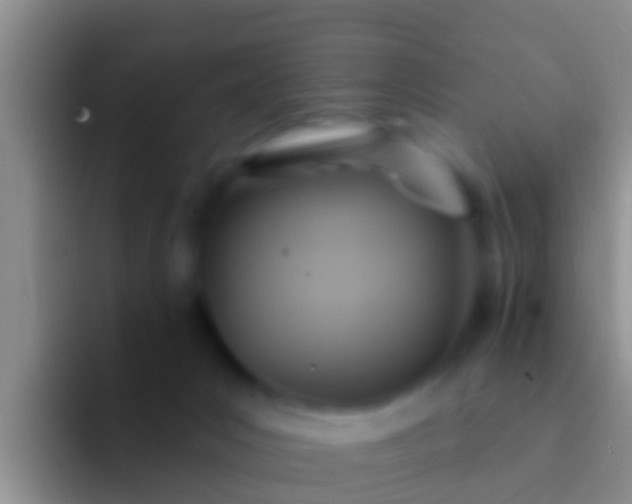 X0000092110031200709262207