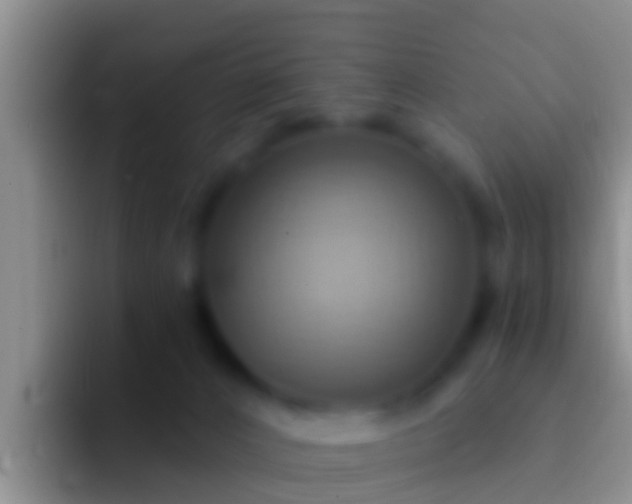 X0000092110032200709262207