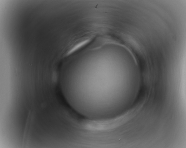 X0000092110033200709262207