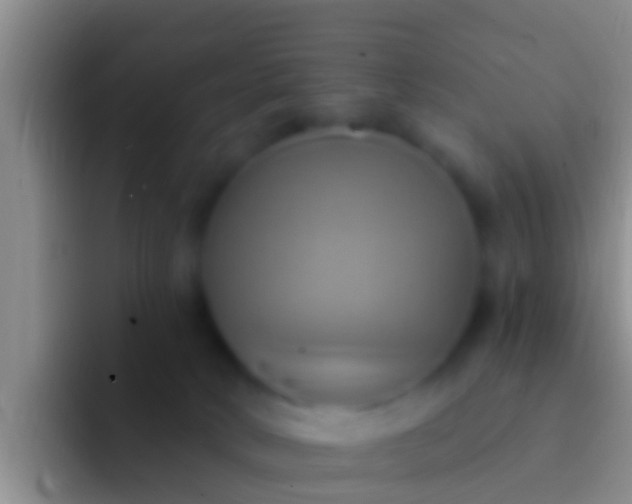 X0000092110034200709262207