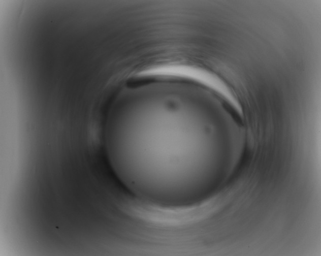 X0000092110035200709262207