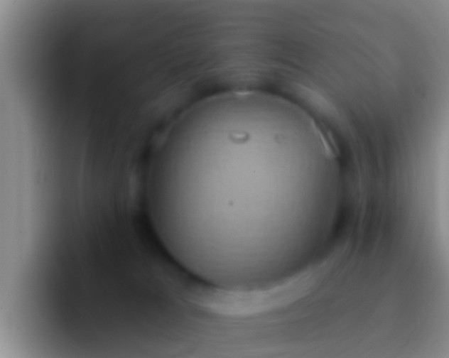 X0000092110037200709262207