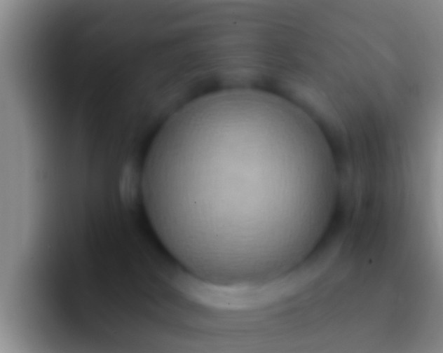 X0000092110038200709262207