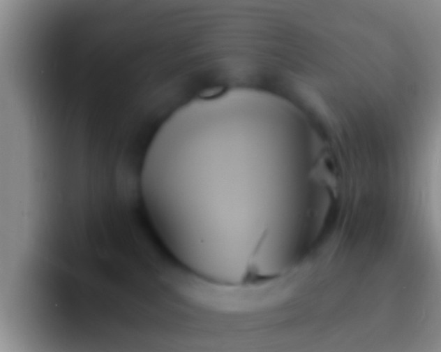 X0000092110039200709262207