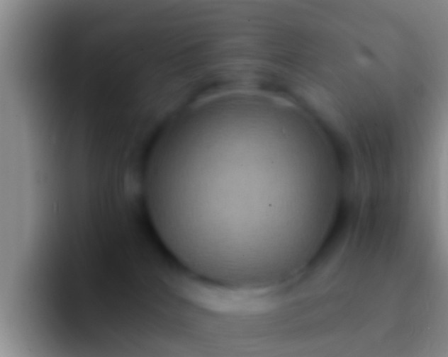 X0000092110040200709262207