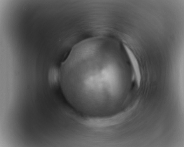 X0000092110041200709262207