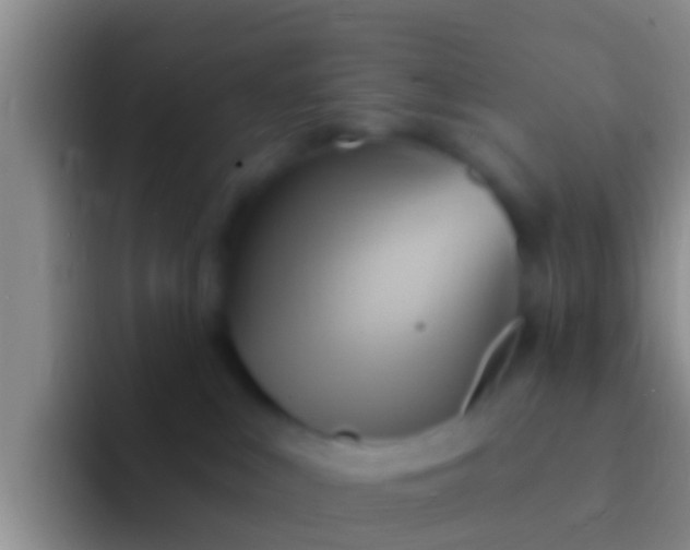 X0000092110043200709262207