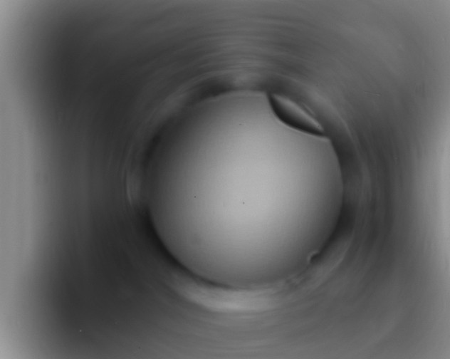 X0000092110044200709262207