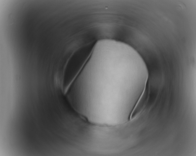 X0000092110045200709262207