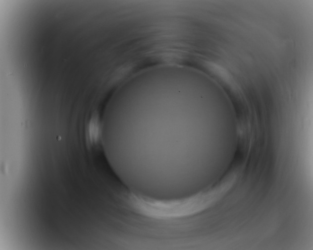 X0000092110046200709262207