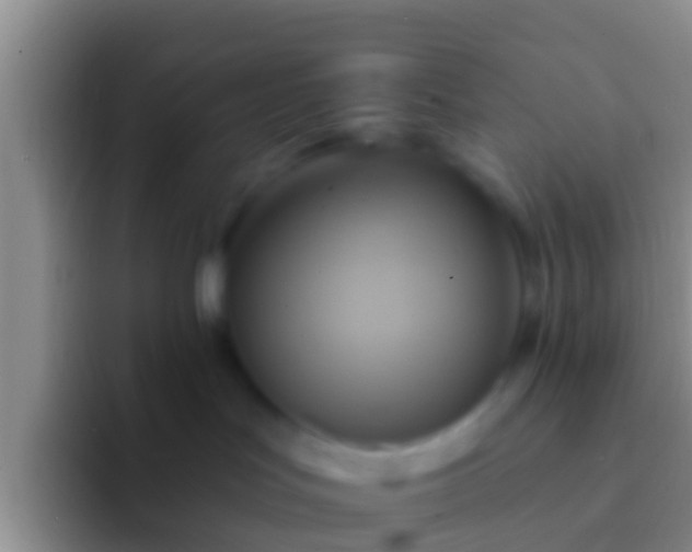 X0000092110047200709262207