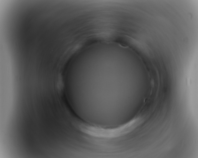 X0000092110048200709262207