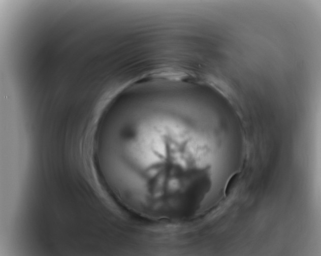 X0000092110049200709262206