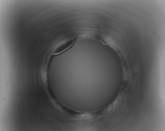 X0000092110050200709262206