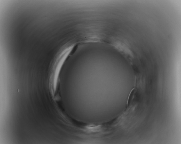 X0000092110051200709262206