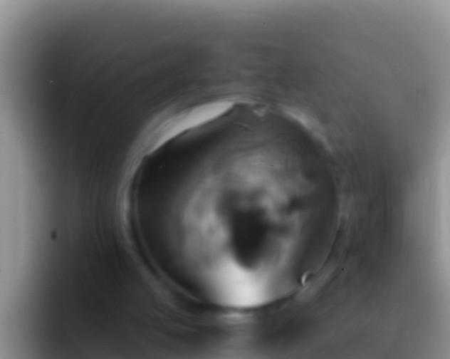 X0000092110053200709262206