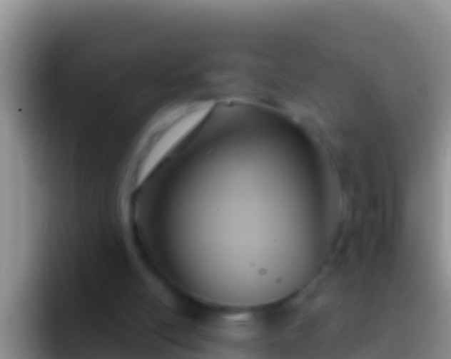 X0000092110054200709262206