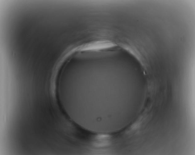 X0000092110055200709262206