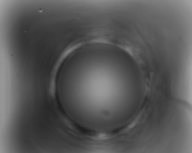 X0000092110056200709262206