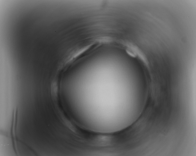 X0000092110057200709262206