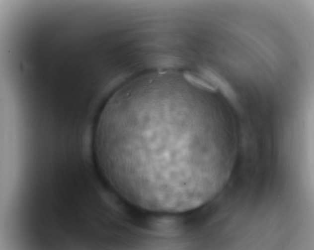 X0000092110058200709262206