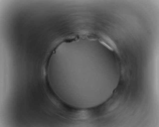 X0000092110059200709262206