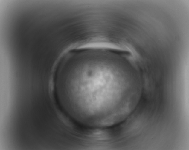 X0000092110060200709262206