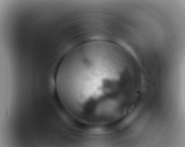 X0000092110061200709262206