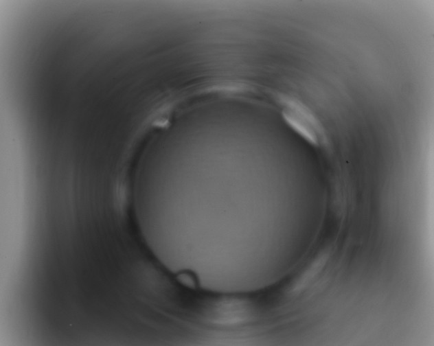 X0000092110063200709262206