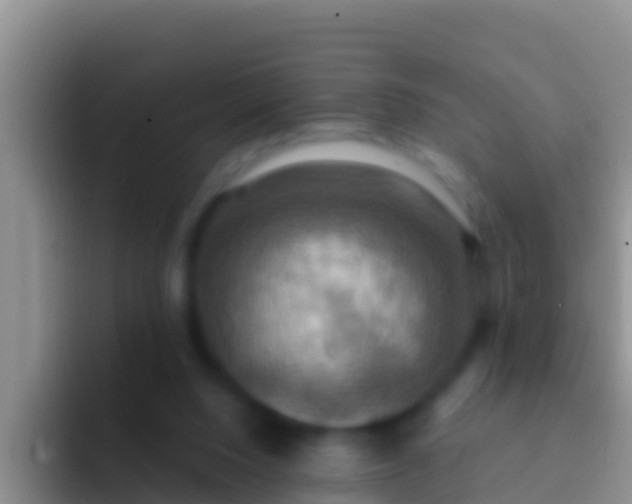 X0000092110064200709262206