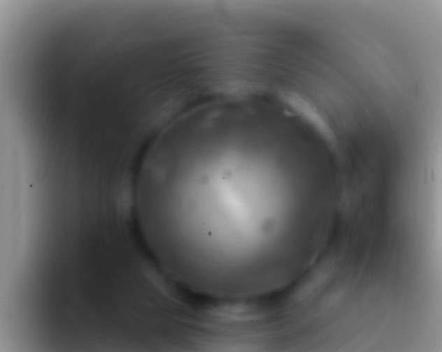 X0000092110065200709262206