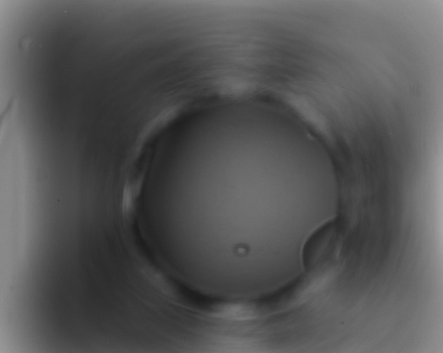 X0000092110067200709262206