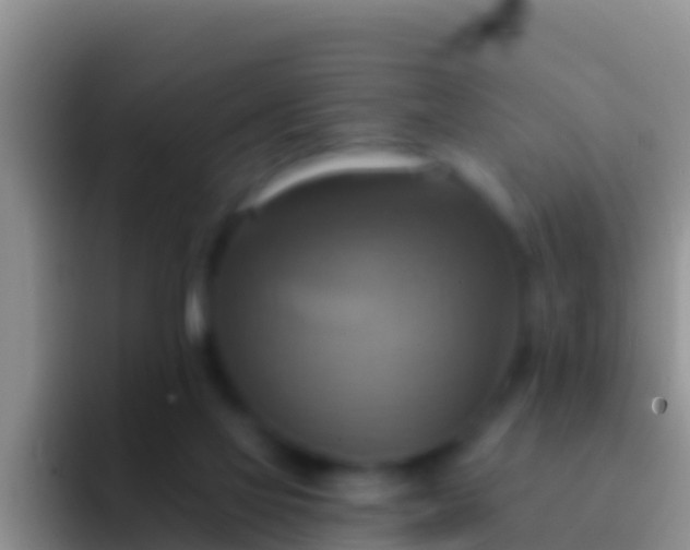 X0000092110069200709262206