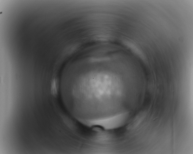 X0000092110070200709262206