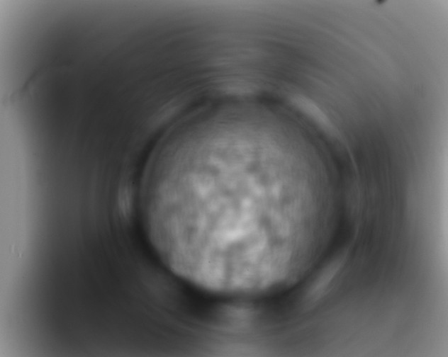 X0000092110071200709262206