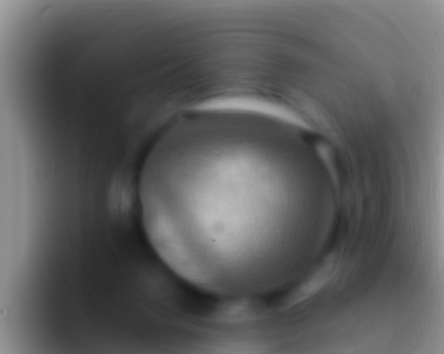 X0000092110072200709262206