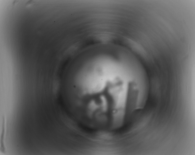 X0000092110073200709262206