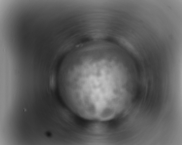 X0000092110074200709262206