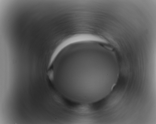 X0000092110076200709262206